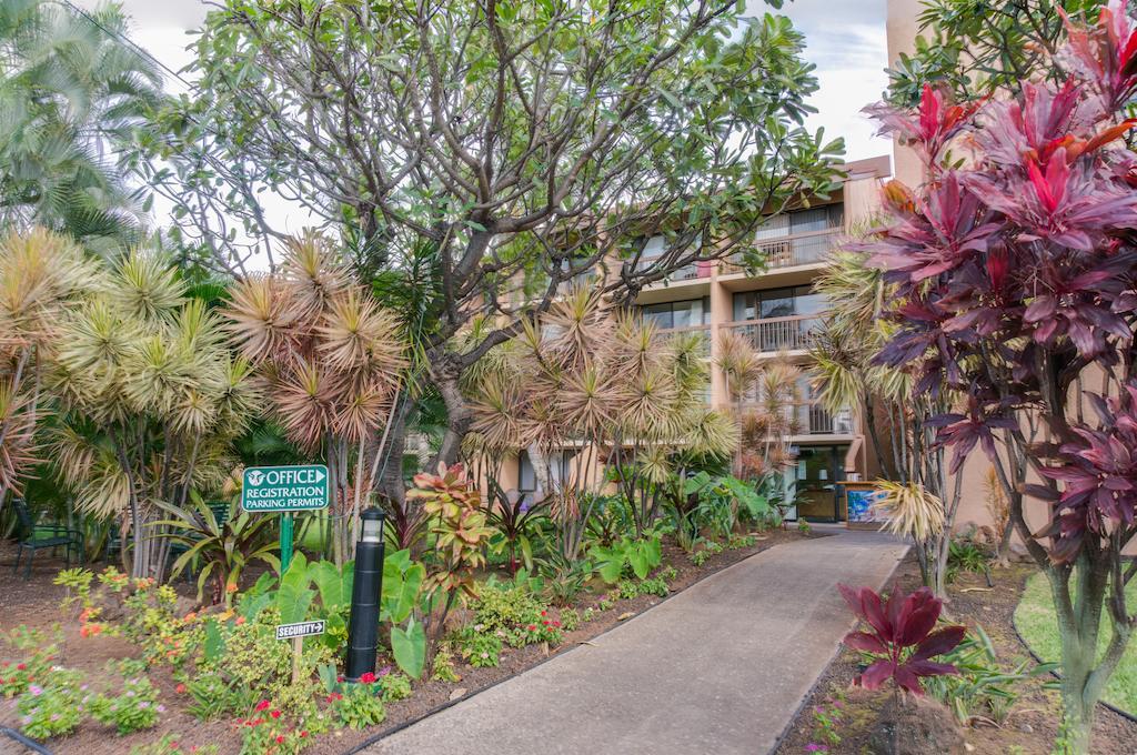 Maui Vista By Maui Condo And Home 基黑 外观 照片